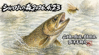 【釣果7匹山女魚1岩魚6】シャロムの森2026.4.23 