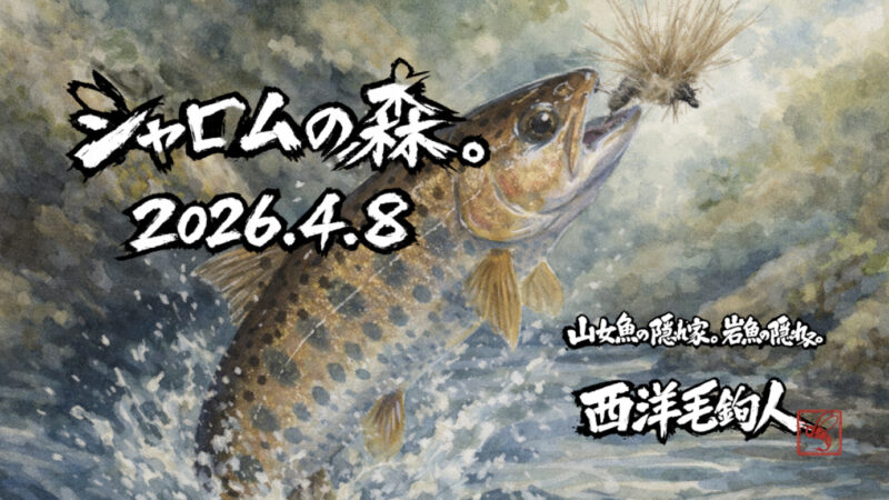 【釣果7匹山女魚7岩魚0】シャロムの森2026.4.8 