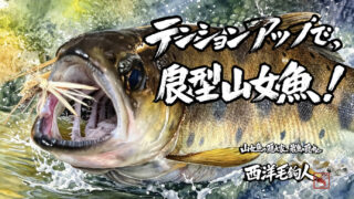 【フライフィッシング】テンションアップで、良型山女魚！ 