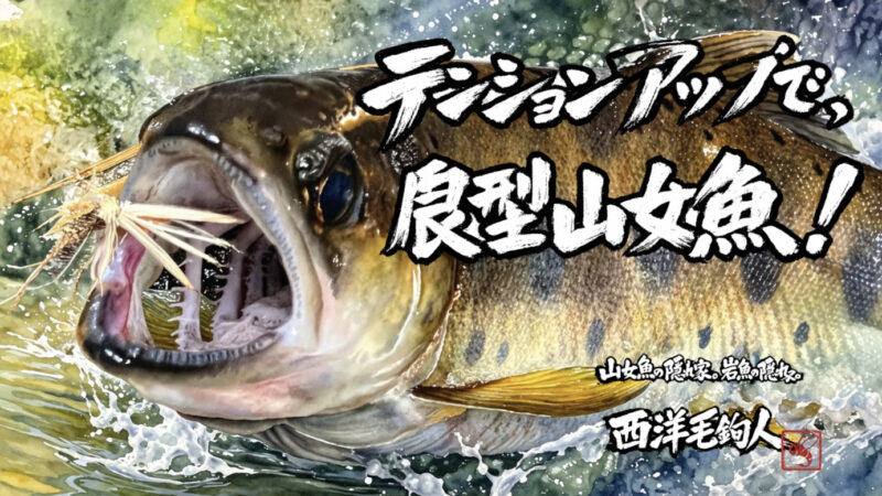 【フライフィッシング】テンションアップで、良型山女魚！ 