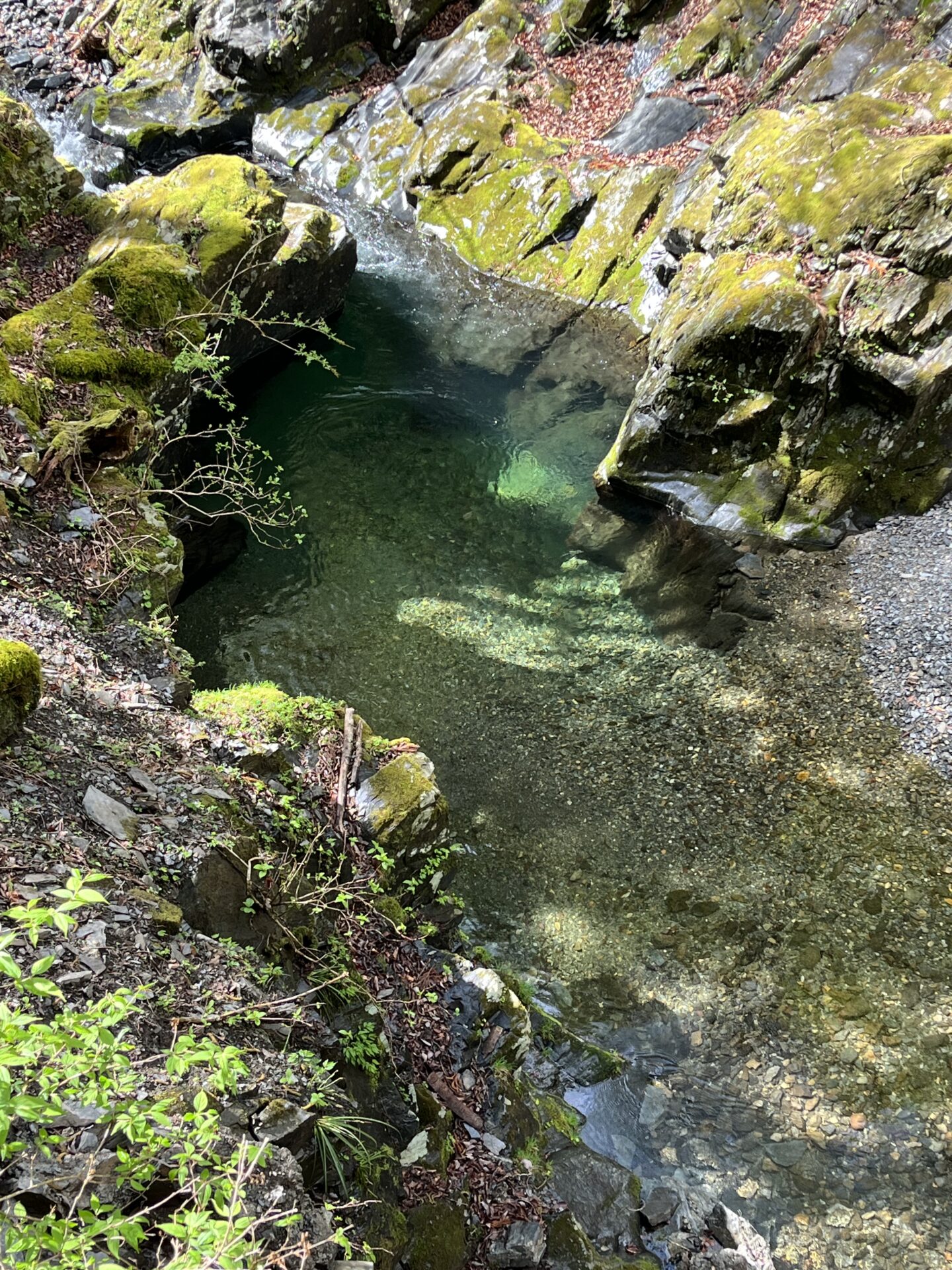 水位
2025.4.24
シャロムの森
