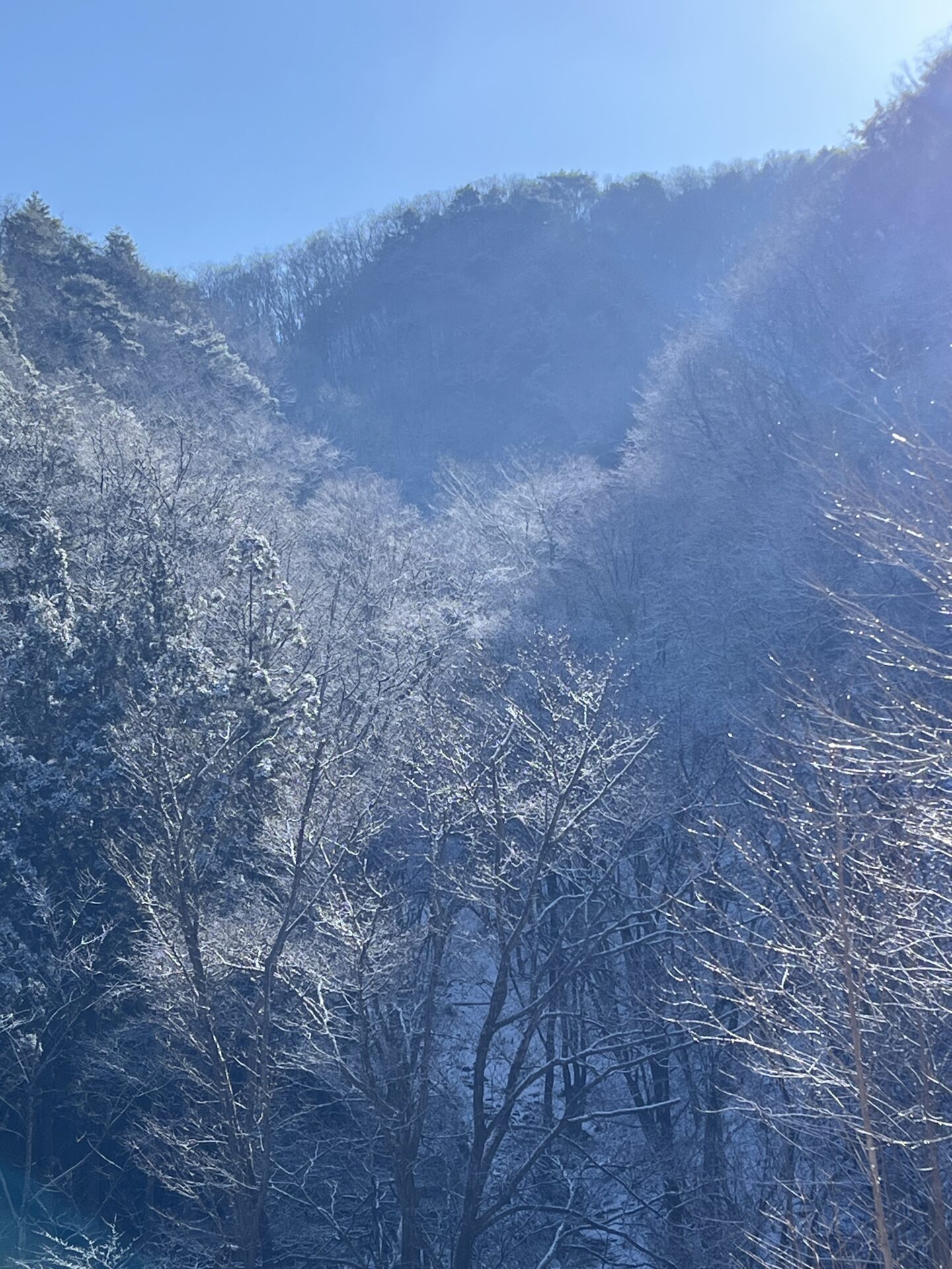 季節の進行
2026.3.12
シャロムの森
