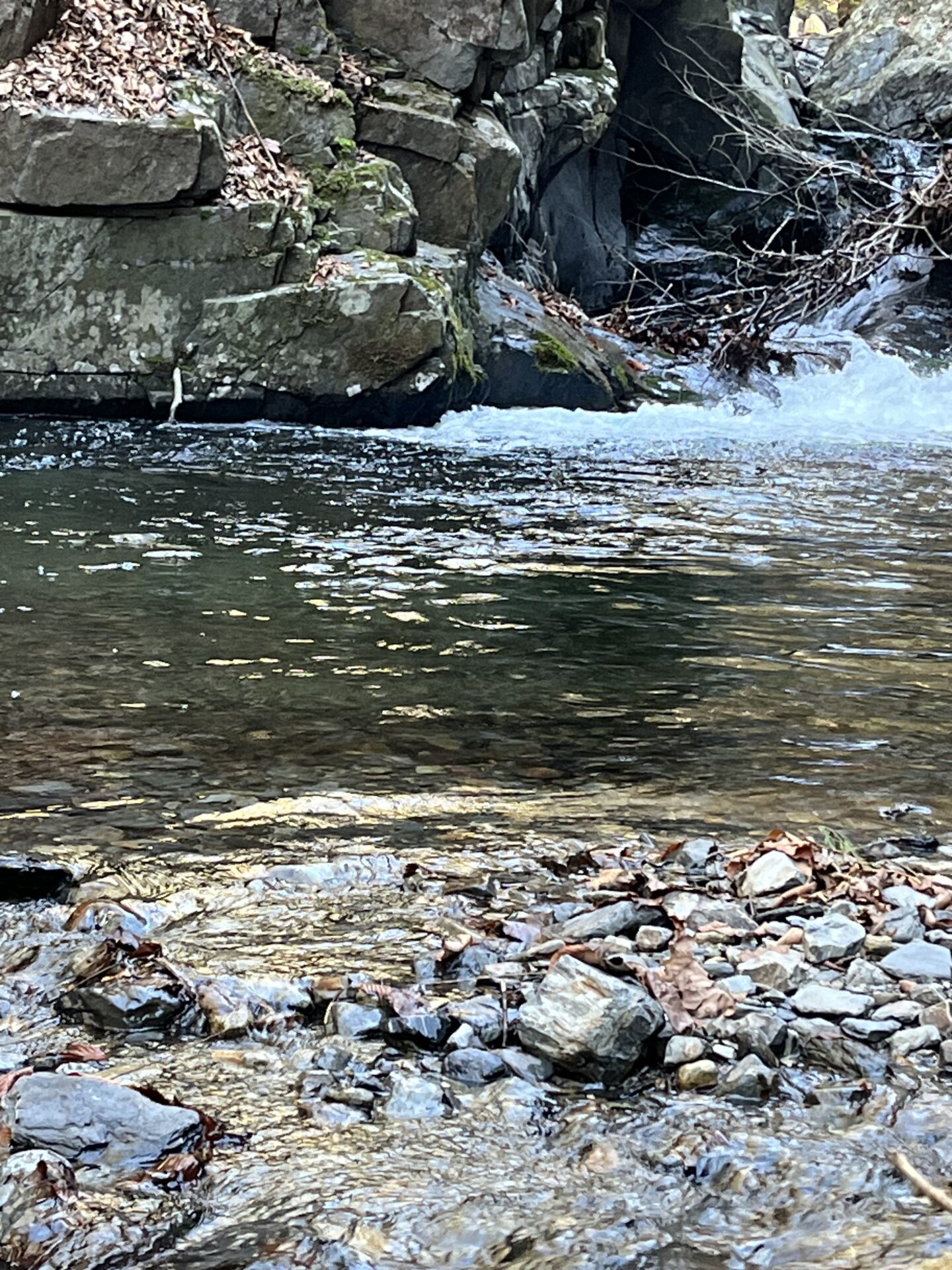 ポイント
山女魚
2026.4.8
14:11
シャロムの森