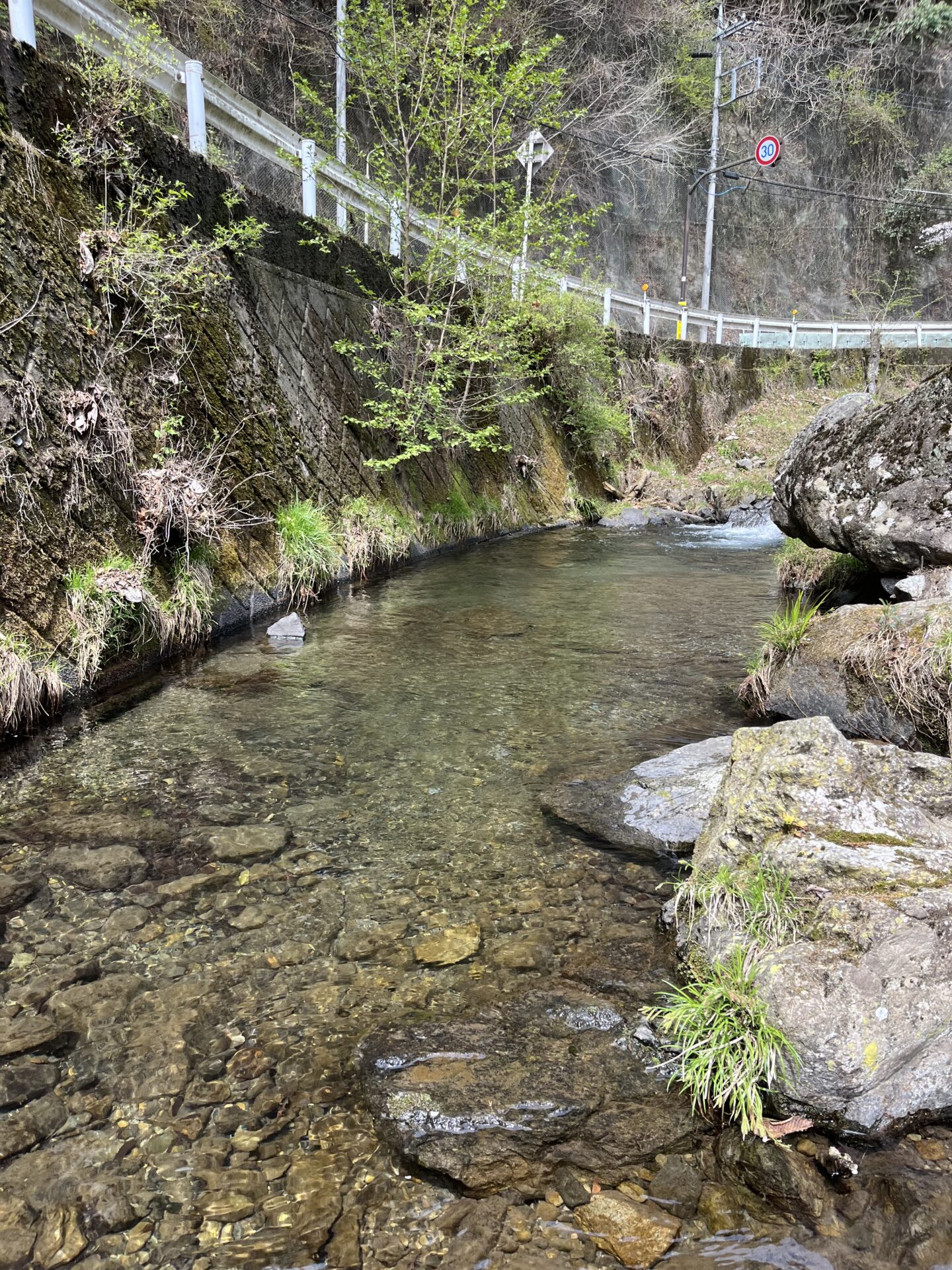 ポイント
山女魚
養沢毛鉤専用釣場
2026.4.9
10:53