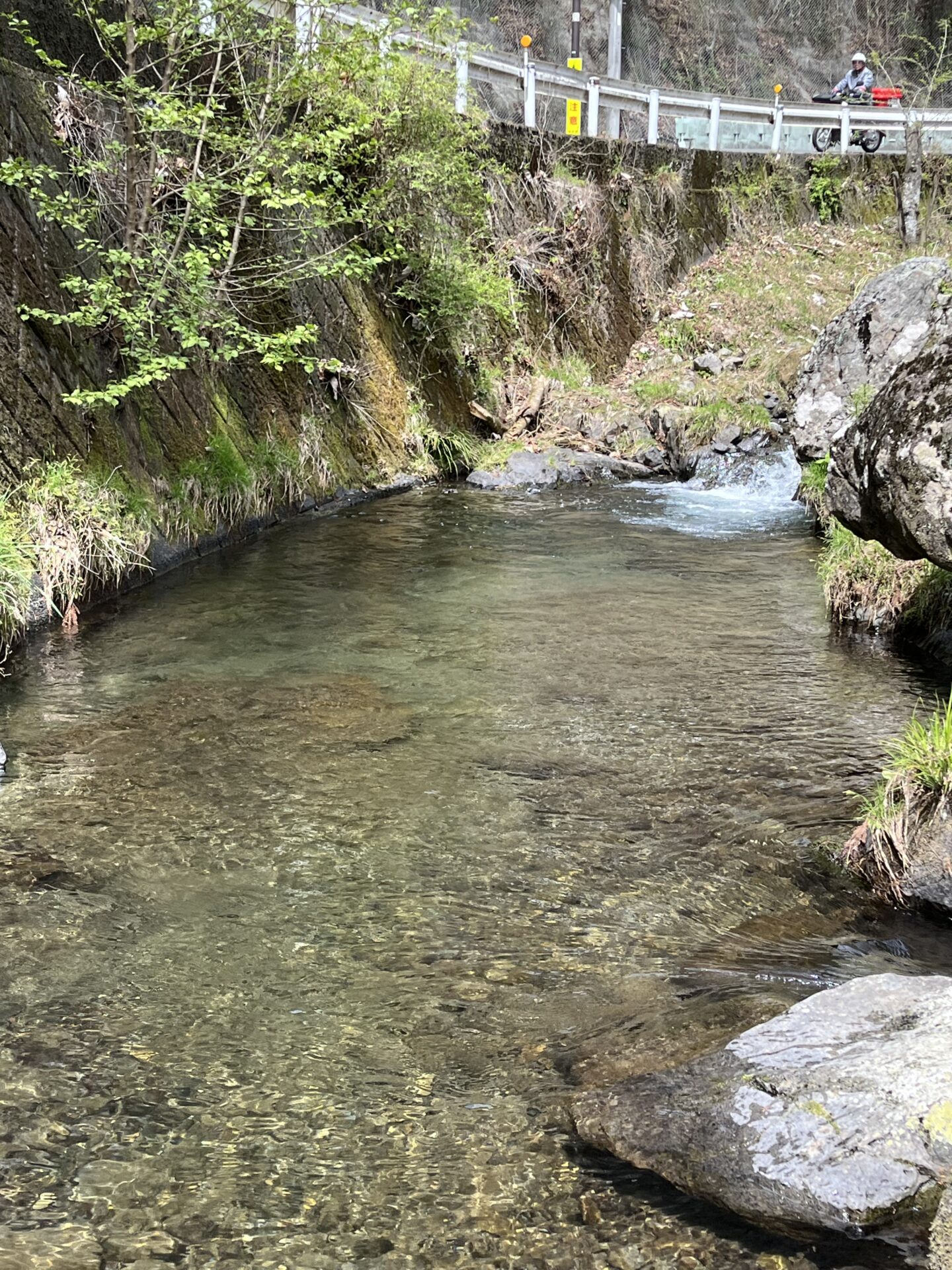 ポイント
山女魚
養沢毛鉤専用釣場
2026.4.9
11:00