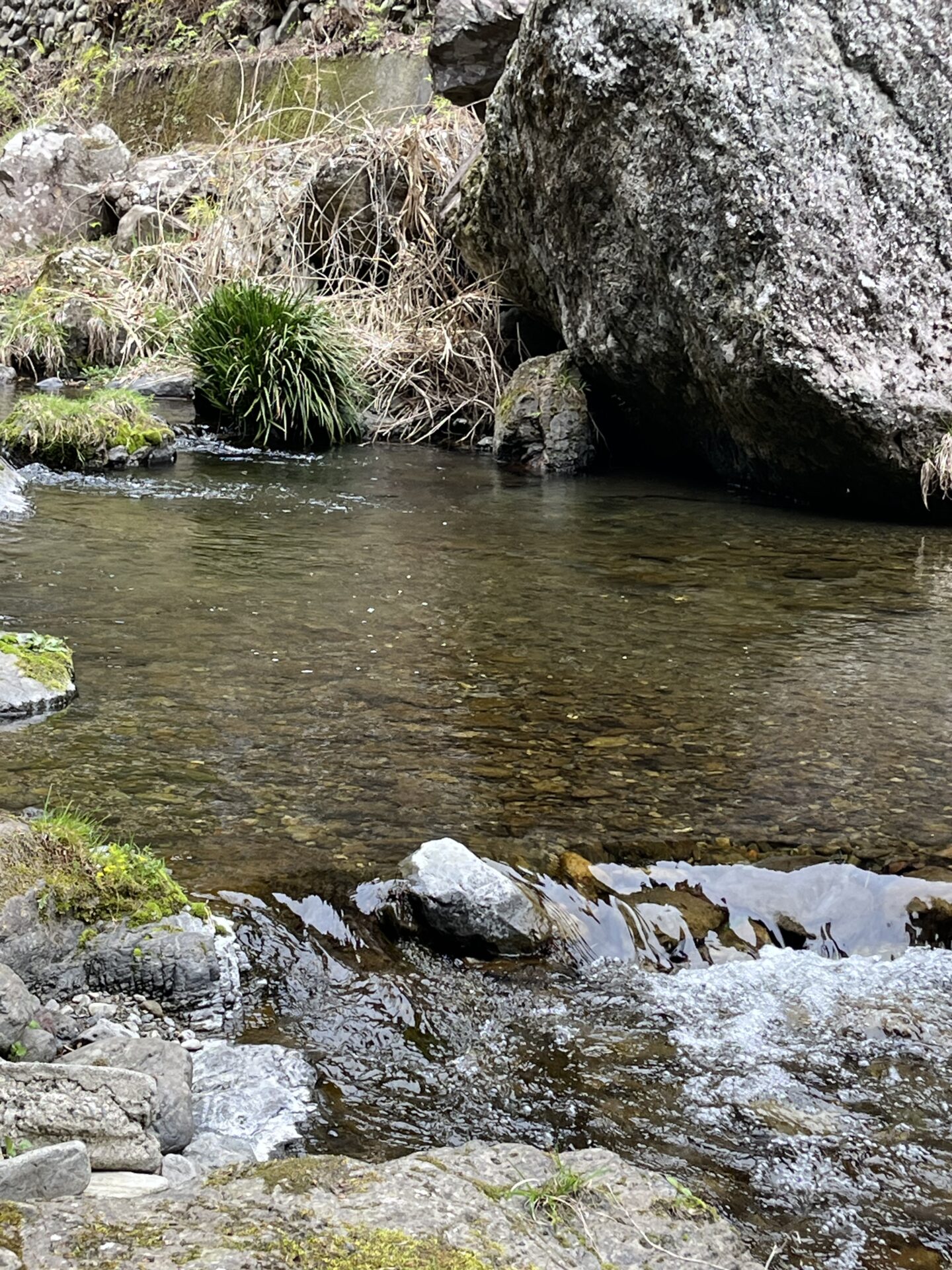 ポイント
ブラウン
養沢毛鉤専用釣場
2026.4.9
14:58
