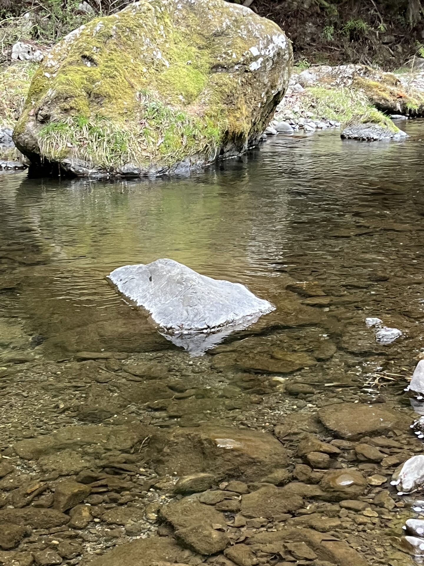 ポイント
虹鱒
養沢毛鉤専用釣場
2026.4.9
16:28