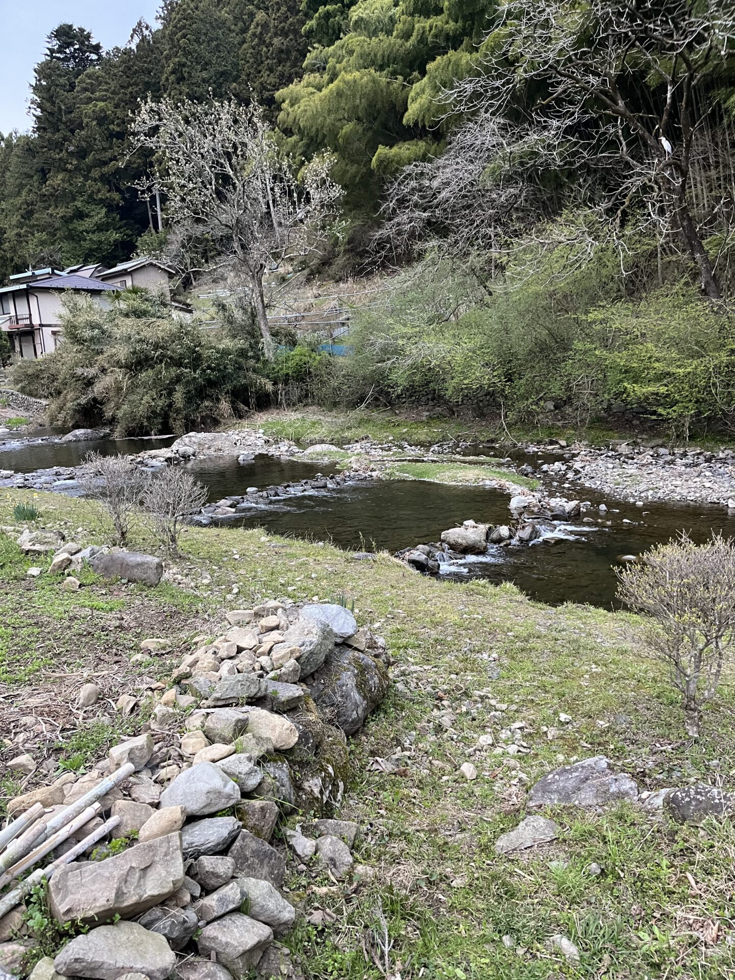 渇水対策の棚田?プール?
2026.4.9
養沢毛鉤専用釣場