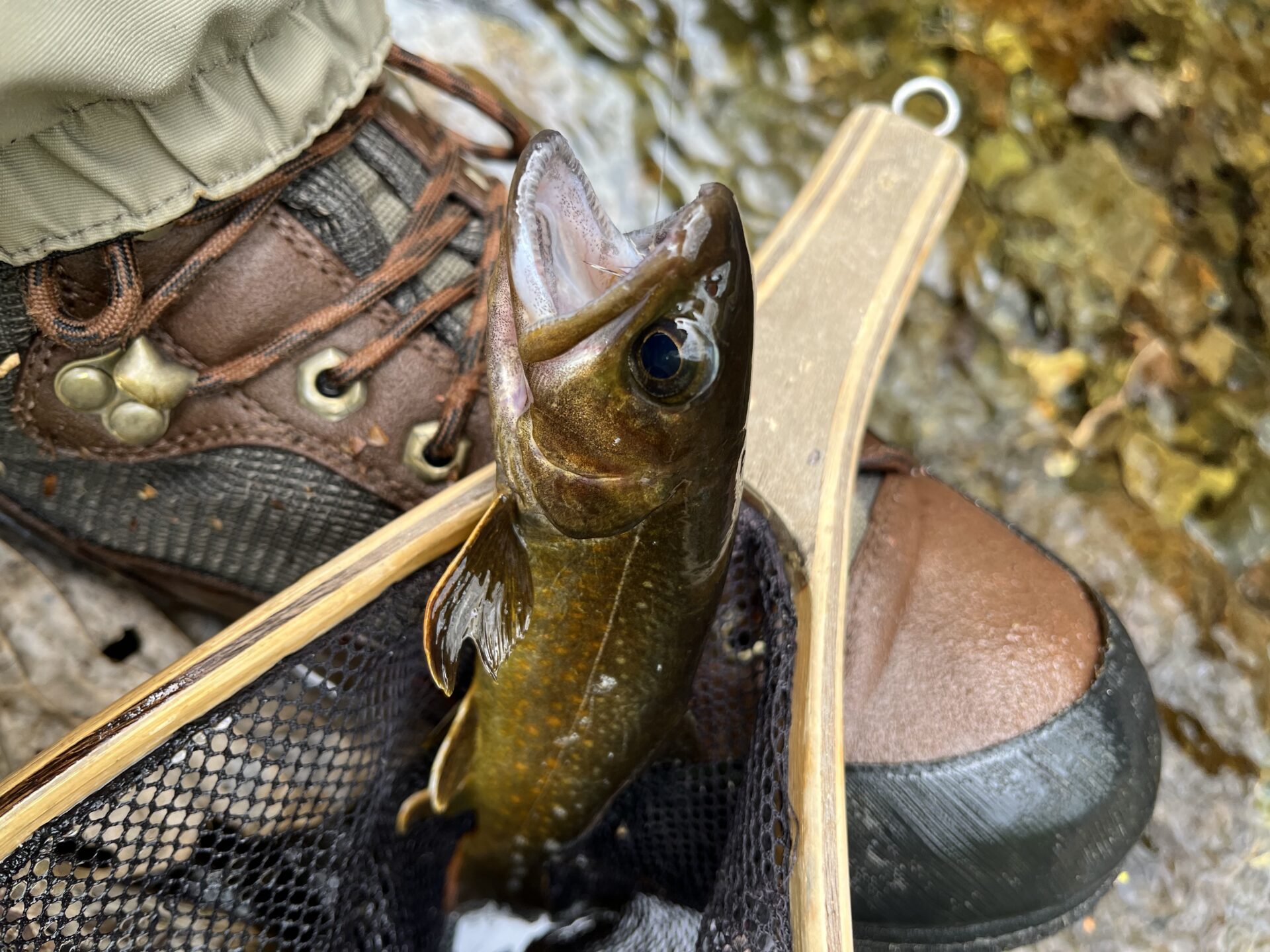 岩魚
12:37
上野村
中丿沢毛ばり釣り専用区
