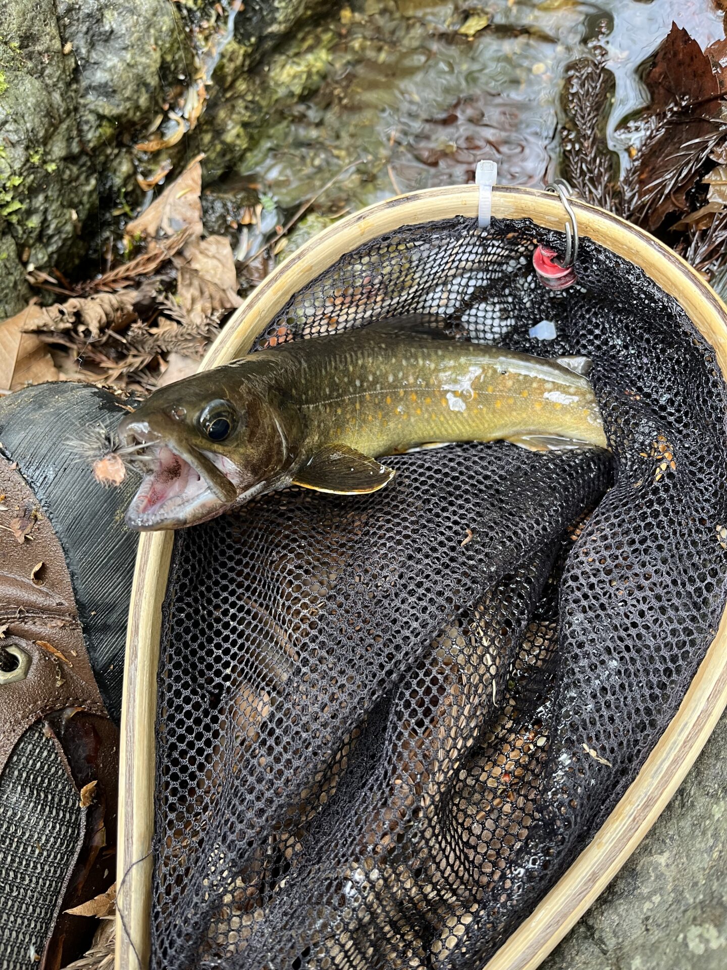 岩魚
13:51
上野村
中丿沢毛ばり釣り専用区
