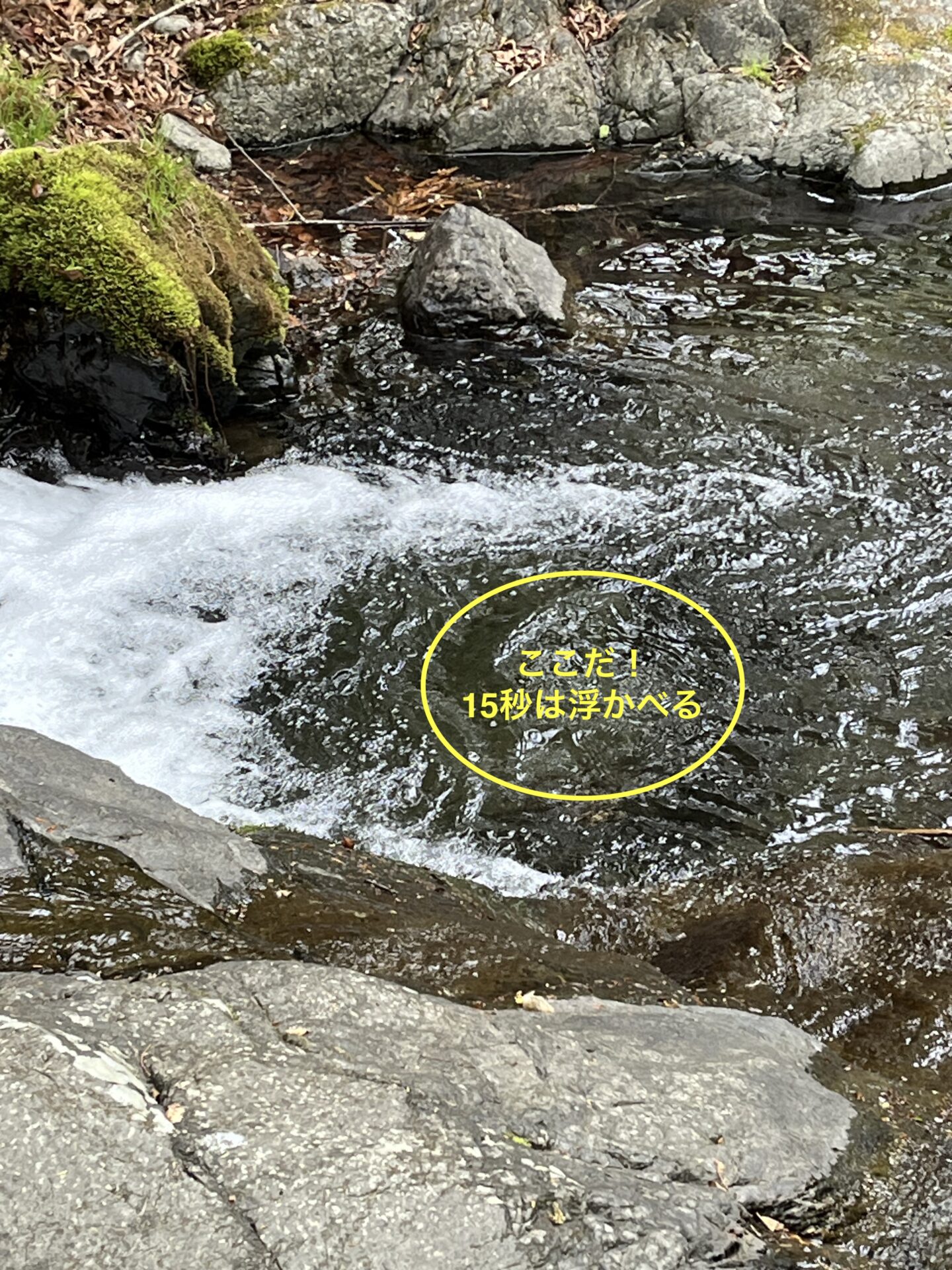 ポイント
岩魚
13:51
上野村
中丿沢毛ばり釣り専用区

