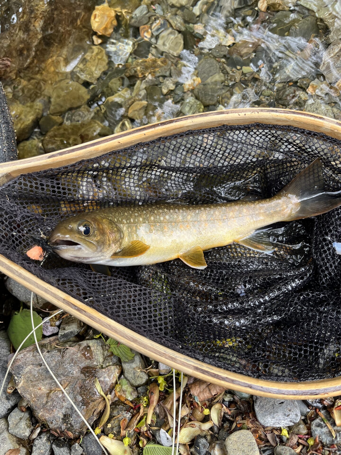 岩魚
14:54
上野村
中丿沢毛ばり釣り専用区
