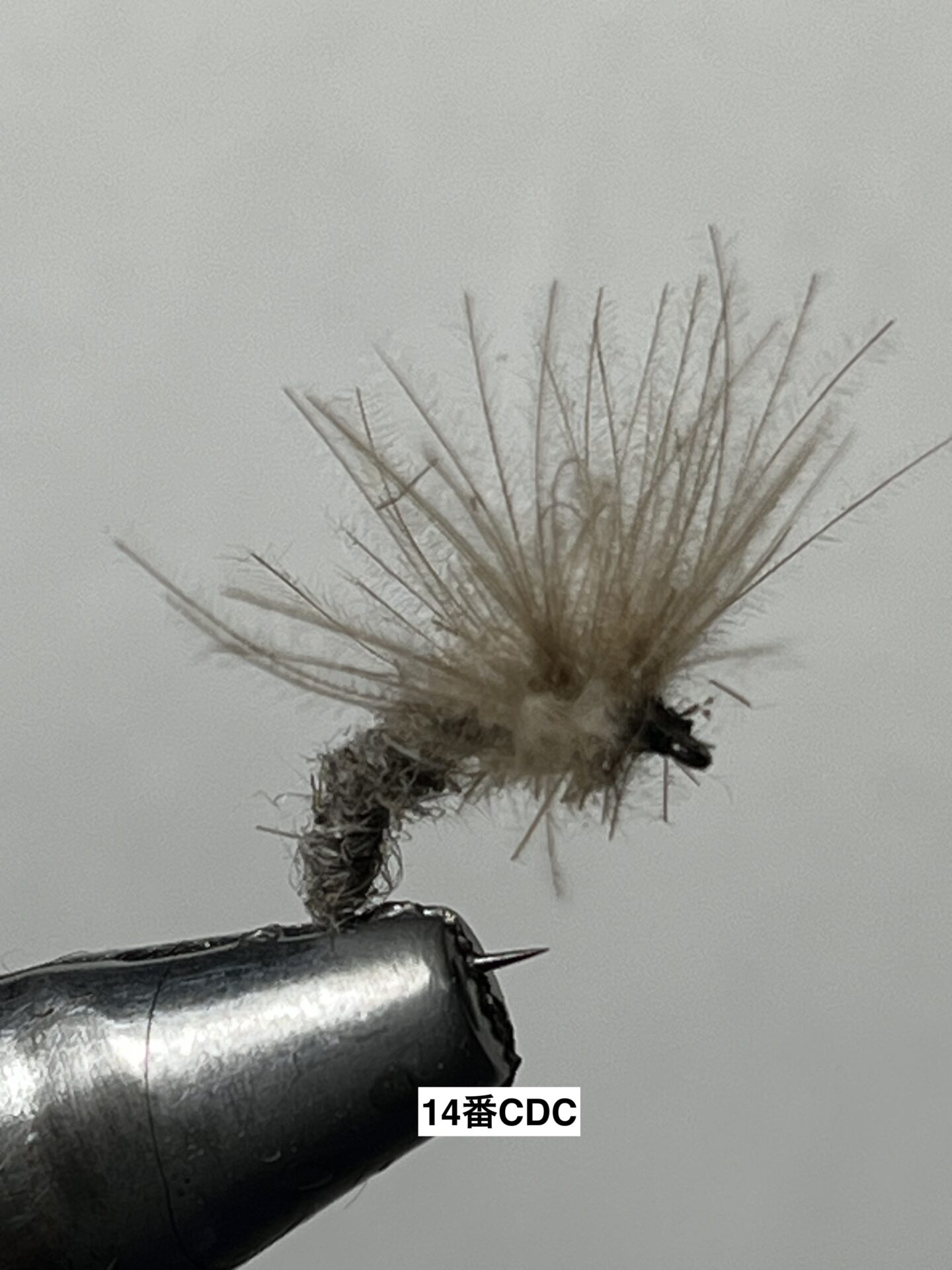 14番CDC