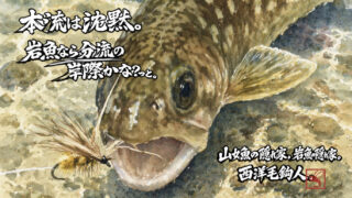 【フライフィッシング】本流は沈黙。岩魚なら分流の岸際かな？っと。 