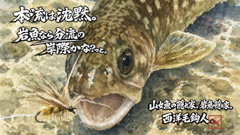 【フライフィッシング】本流は沈黙。岩魚なら分流の岸際かな？っと。
