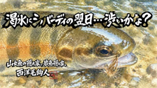 【フライフィッシング】渇水にシルバーディの翌日・・・渋いかな？ 