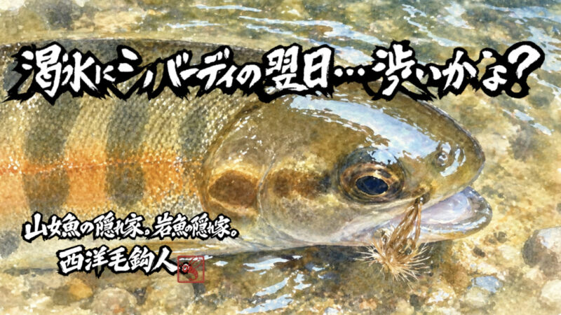 【フライフィッシング】渇水にシルバーディの翌日・・・渋いかな？