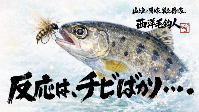 【フライフィッシング】反応は、チビばかり・・・。 