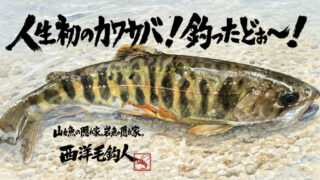 【フライフィッシング】人生初のカワサバ！釣ったどぉ～！ 