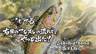 【フライフィッシング】スレてる？右岸のスレスレの流れで、やっと出た！ 