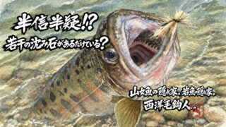 【フライフィッシング】半信半疑！？若干の沈み石があるだけでいる？ 