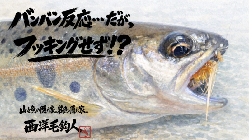 【フライフィッシング】バンバン反応・・・だが、フッキングせず！？ 