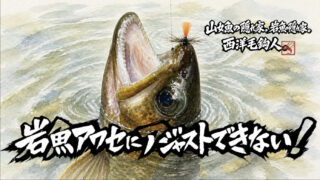 【フライフィッシング】岩魚アワセにアジャストできない！ 