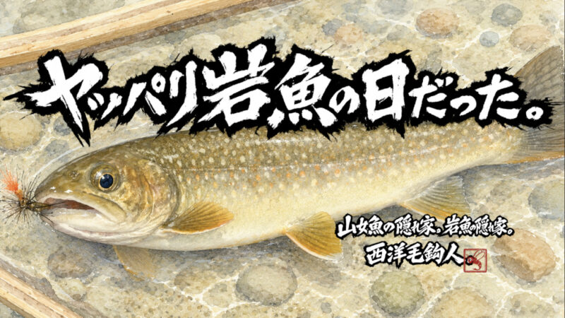 【フライフィッシング】ヤッパリ岩魚の日だった。