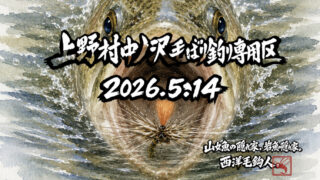 【釣果15匹山女魚3岩魚12】中丿沢毛ばり釣り専用区2026.5.14 