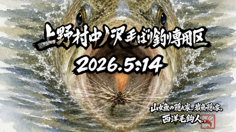 【釣果15匹山女魚3岩魚12】中丿沢毛ばり釣り専用区2026.5.14 
