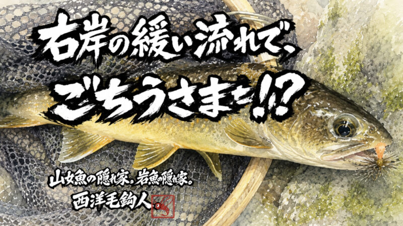 【フライフィッシング】右岸の緩い流れで、ごちそうさま！？
