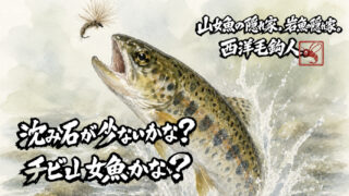 【フライフィッシング】沈み石が少ないかな？チビ山女魚かな？ 
