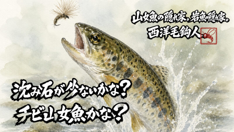 【フライフィッシング】沈み石が少ないかな？チビ山女魚かな？