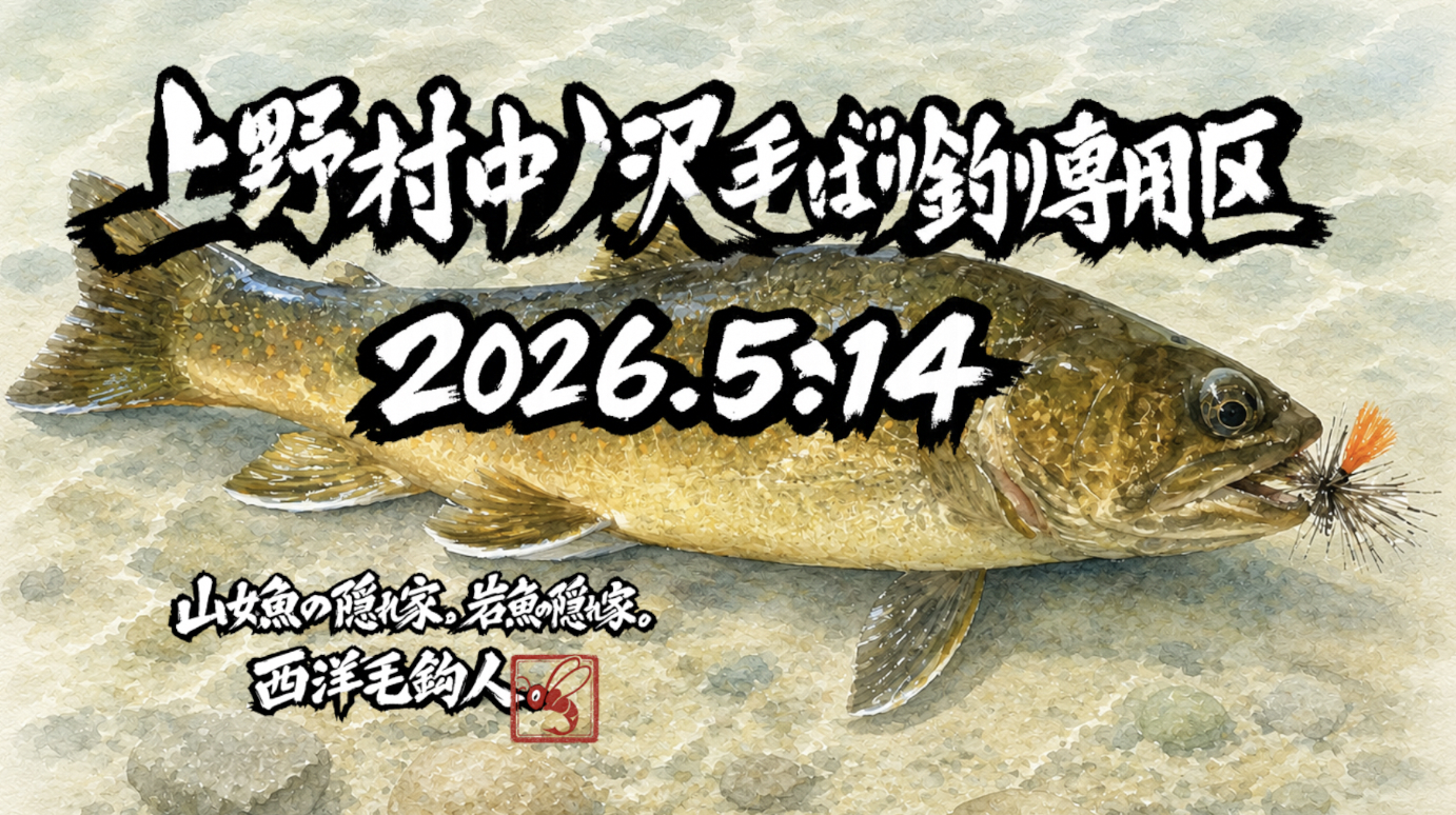 【釣果15匹山女魚3岩魚12】中丿沢毛ばり釣り専用区2026.5.14