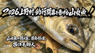 【フライフィッシング】2026上野村釣行開幕を告げる山女魚！ 