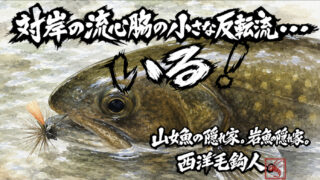 【フライフィッシング】対岸の流心脇の小さな反転流・・・いる！ 