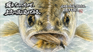【フライフィッシング】疲れちゃったので、上流から流し込んでみる。 