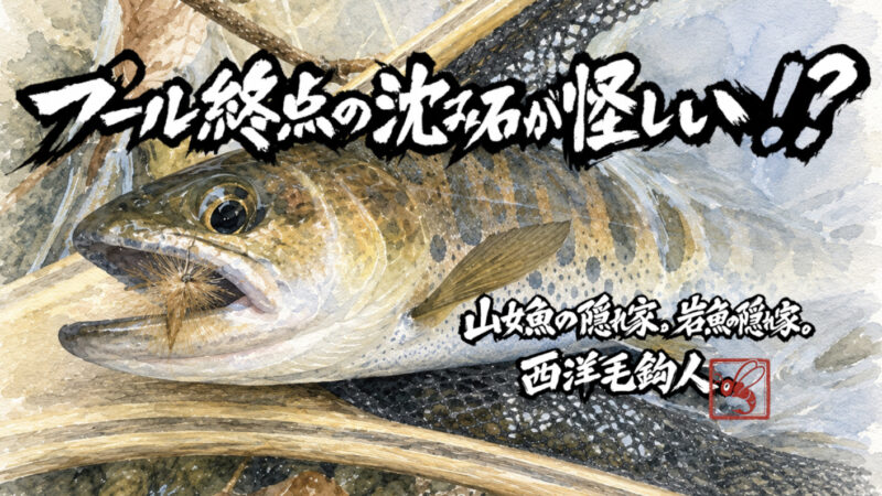 【フライフィッシング】プール終点の沈み石が怪しい！？