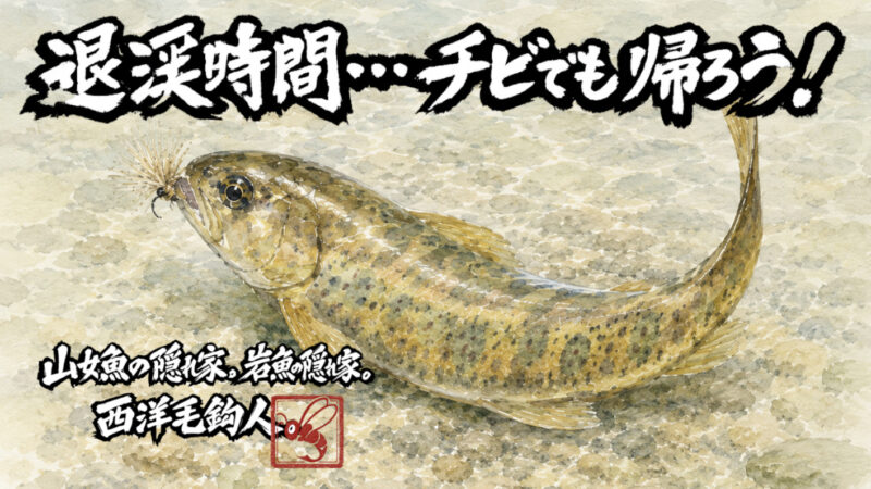 【フライフィッシング】退渓時間・・・チビでも帰ろう！
