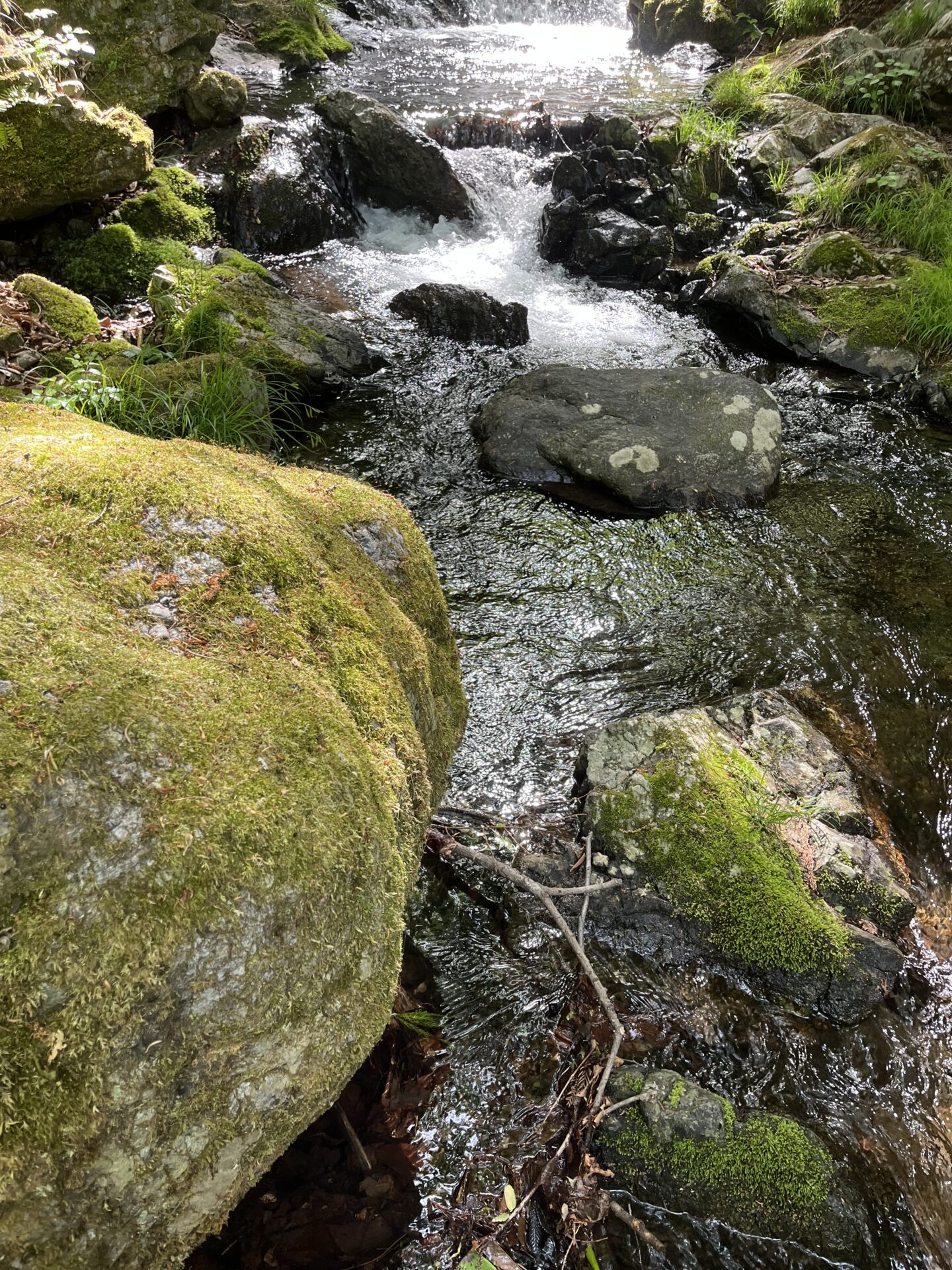 ポイント
岩魚
上野村
中丿沢毛ばり釣り専用区(12)
14:57