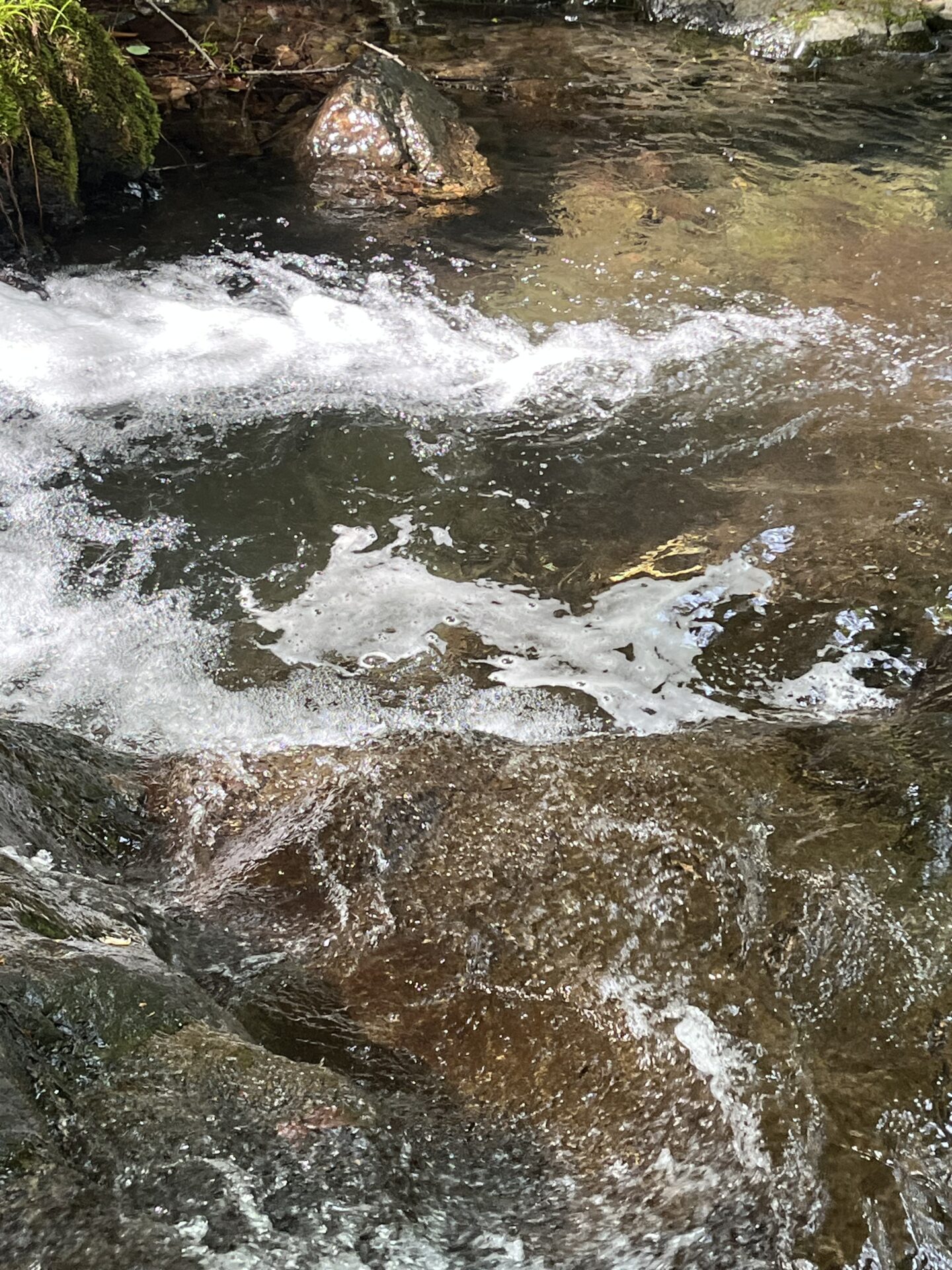 ポイント
岩魚
上野村
中丿沢毛ばり釣り専用区(13)
15:06
