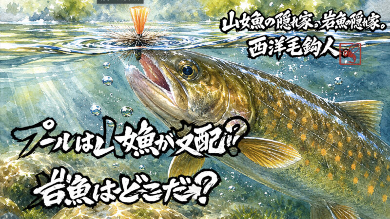 【フライフィッシング】プールは山女魚が支配？岩魚はどこだ？