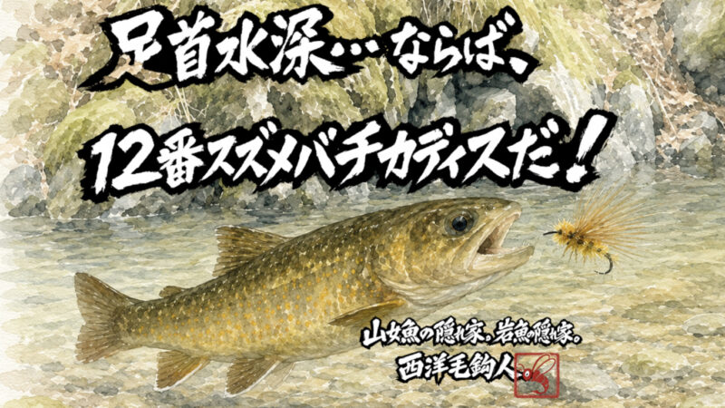 【フライフィッシング】足首水深・・・ならば、12番スズメバチカディスだ！？