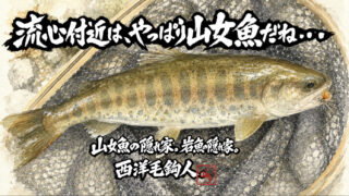 【フライフィッシング】流心付近は、やっぱり山女魚だね・・・。 