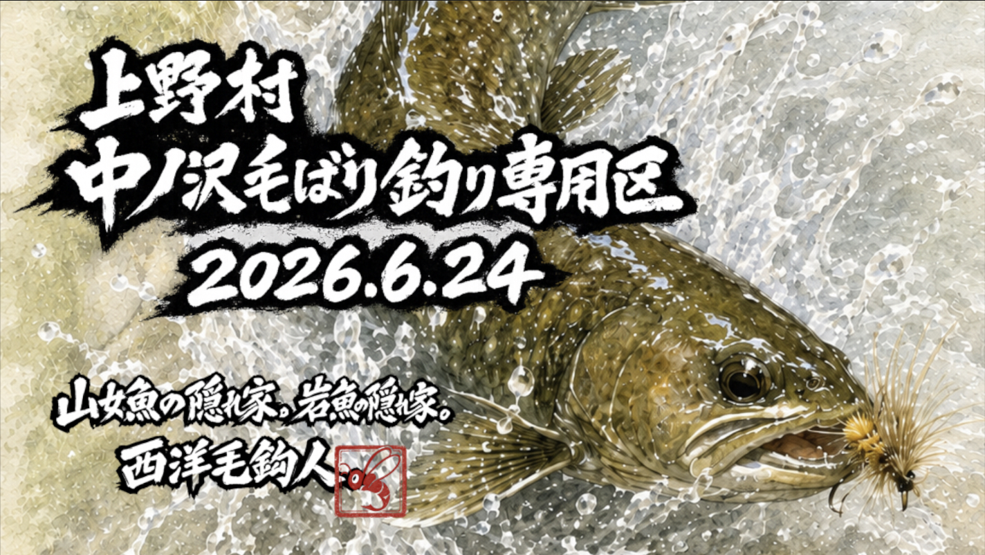  【釣果9匹山女魚2岩魚7】中ノ沢毛ばり釣り専用区2026.6.24