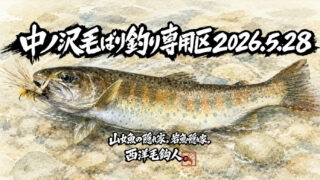 【釣果9匹山女魚5岩魚4】中丿沢毛ばり釣り専用区2026.5.28 
