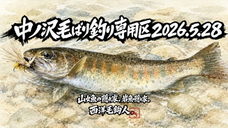【釣果9匹山女魚5岩魚4】中丿沢毛ばり釣り専用区2026.5.28 