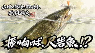 【フライフィッシング】振り向けば、尺岩魚！？ 