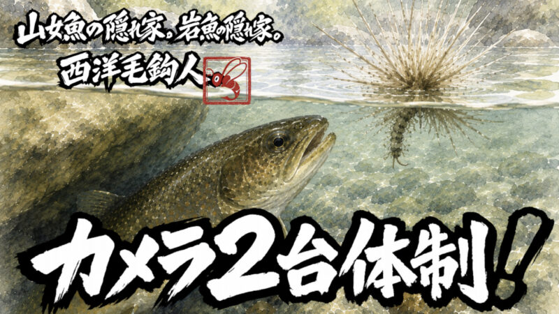 【フライフィッシング】カメラ2台体制！