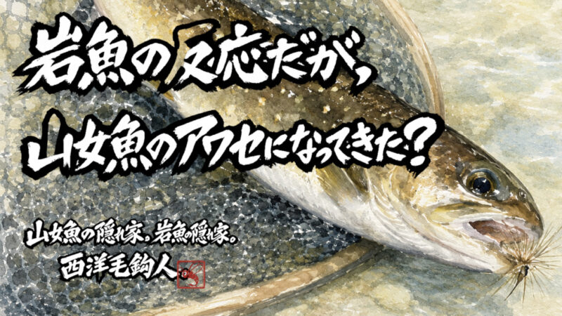 【フライフィッシング】岩魚の反応だが、山女魚のアワセになってきた？